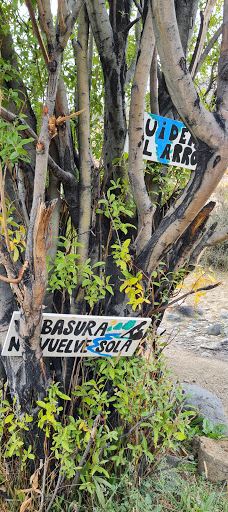 Cañadon Del Arroyo Calafate-阿根廷湖县