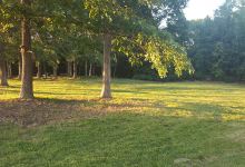 Adams Road Park景点图片