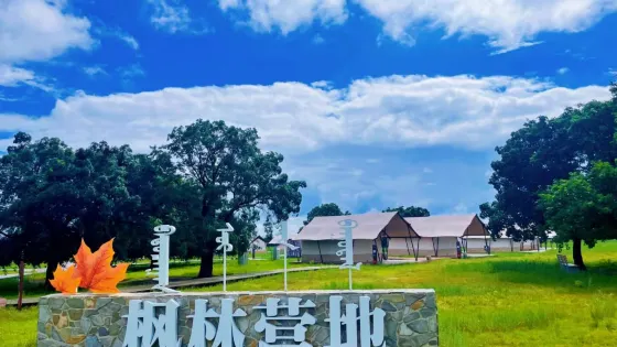五角楓生態旅遊景區-楓林營地