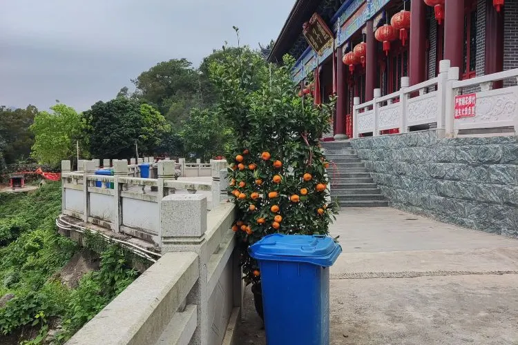 永安旅遊