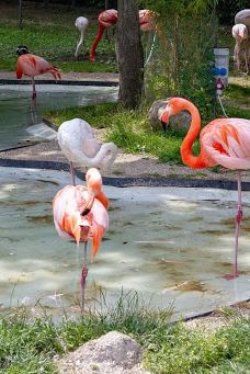 Zoo Kosice-科希策1区