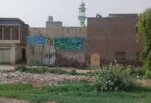 Markazi Jamia Mosque景点图片