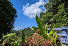 Maranatha Gardens a Prayer Santuary景点图片