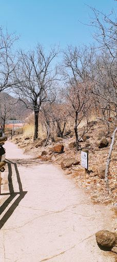 The Maze of the Lost City-太阳城