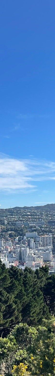 维多利亚山-惠灵顿