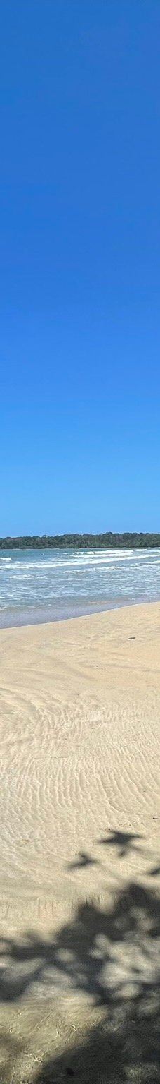 卡维塔国家公园-Talamanca