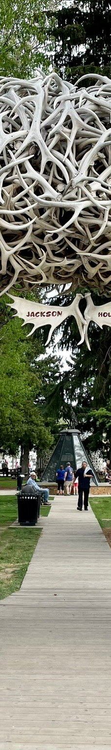 杰克逊鹿角公园-杰克逊