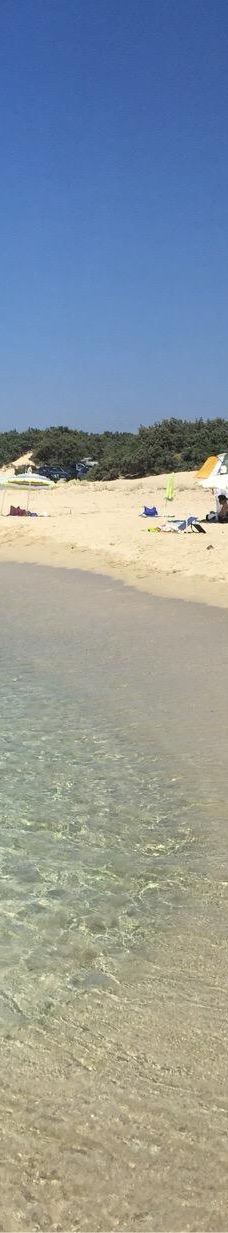 Cedar Forest of Alyko-纳克索斯