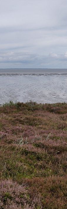 Morsum-Kliff-摩尔苏姆