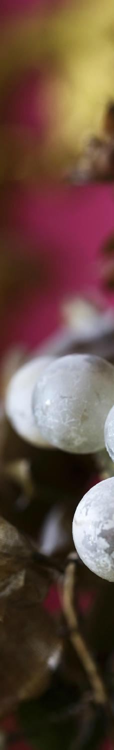 罗森堡城堡-哥本哈根