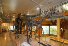 University of Wyoming Geological Museum景点图片