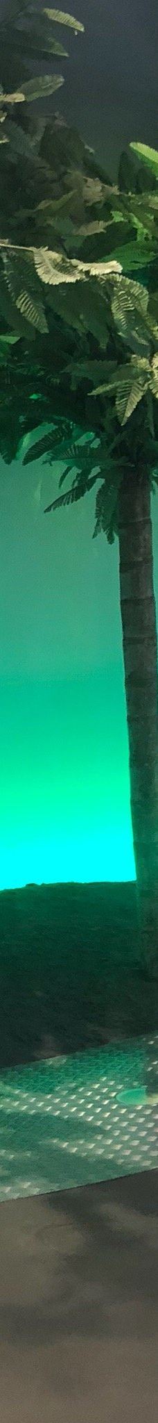 Naturbornholm-阿克尔科拜