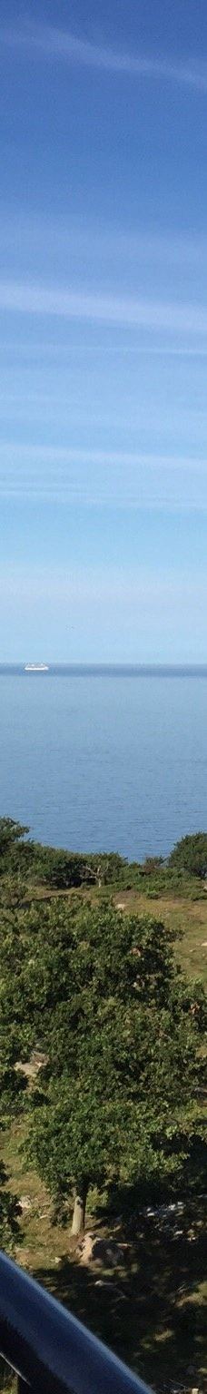 Hammer Lighthouse (Hammer Fyr)-阿灵厄