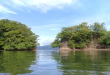 Reserva Curu景点图片