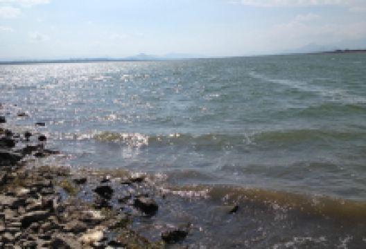 Yedgaon Dam景点图片