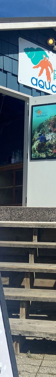 Discovery Passage Aquarium-坎贝尔河