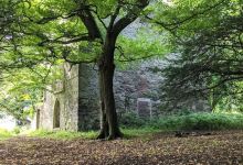 Kilmahew Castle景点图片