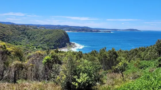 Captain Cook Lookout