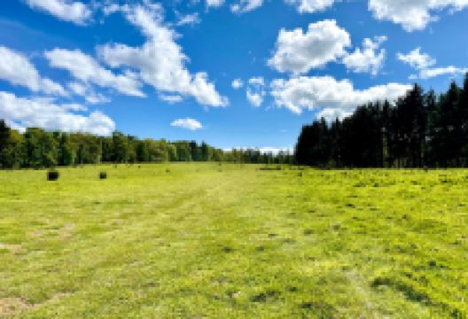Dunnottar Woods景点图片