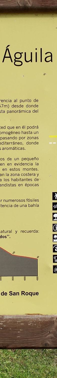 El Pinar del Rey-圣罗克