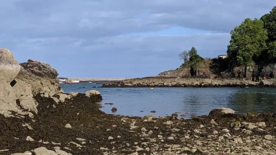 Churston Cove
