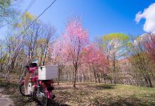南が丘公園の森景点图片