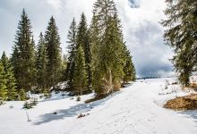 Départ des pistes, Chapelle des Bois景点图片