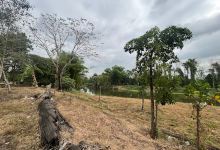 วัดศรีโพธิ์ทอง景点图片