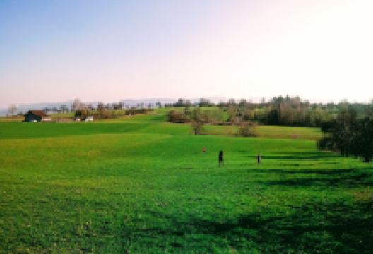 Gartenfreunde Eislingen景点图片