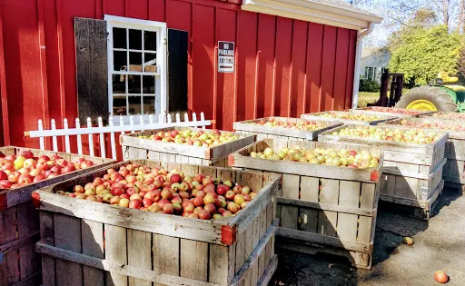 Hacklebarney Farms Cider Mill
