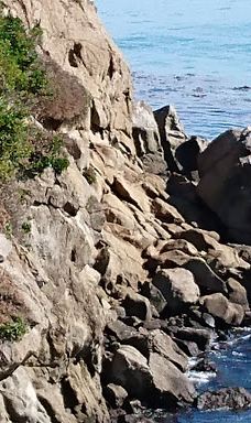 卡提奇灯塔-Moeraki