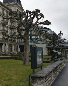 因特拉肯城堡-因特拉肯