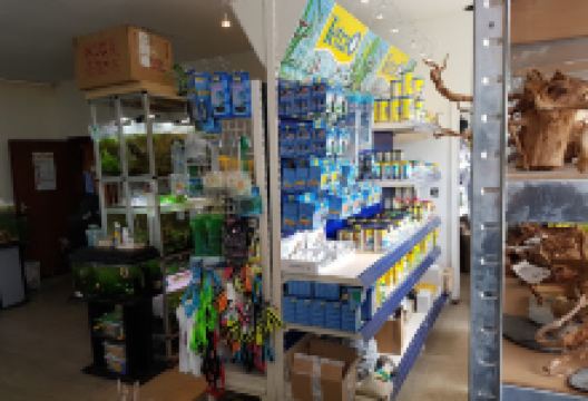 Garnelenonkel购物图片