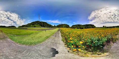 J Power & Yonden Wonderland