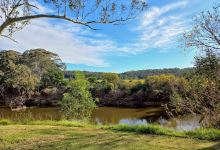 Blaxland Crossing Reserve景点图片