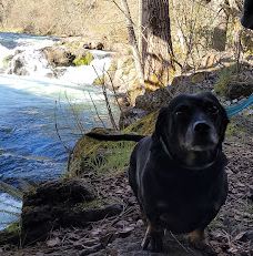 Husum Falls-克利基塔特县