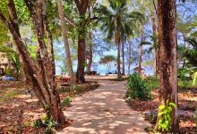 Green Beach Hut景点图片
