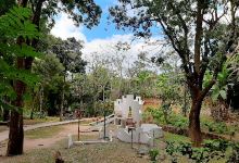 Área infantil del Parque景点图片