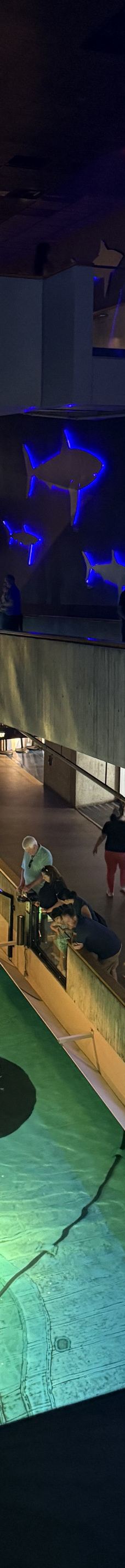 新英格兰水族馆-波士顿-YoYo_4P4L9F6V