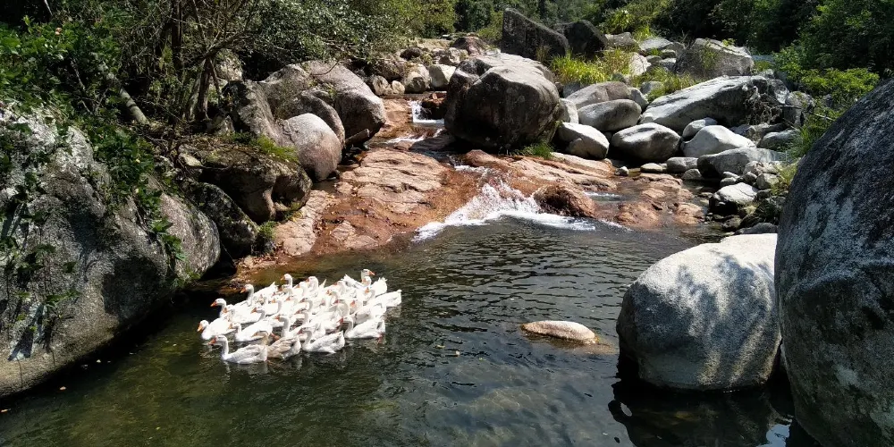 永安旅遊