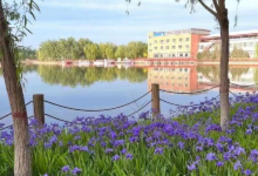 伽师县森林旅游生态园景点图片