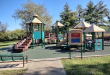 Creve Coeur Dog Park景点图片