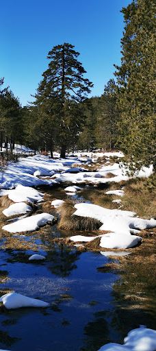 奥林匹斯山-特罗多斯山