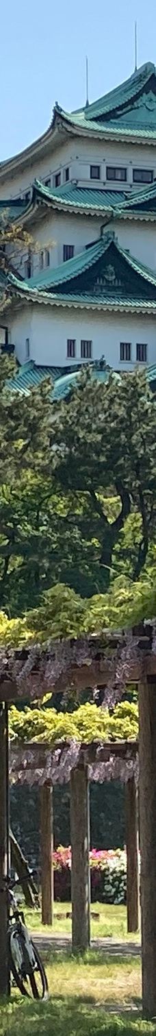 名城公园-名古屋