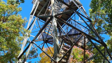 Dorset Lookout Tower