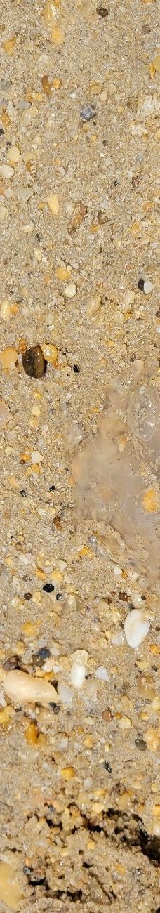 Point Lookout State Park-圣玛丽县