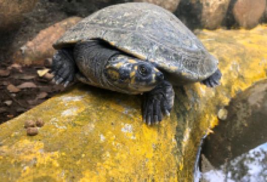 Bioparque Los Ocarros景点图片