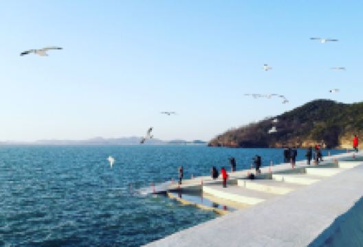 Tando Port景点图片