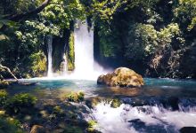 Banias Waterfall景点图片