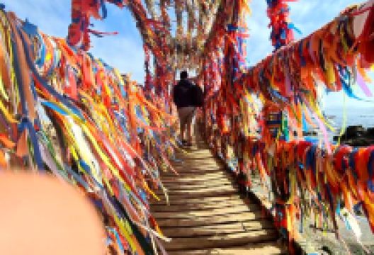 Caleta Horcón景点图片